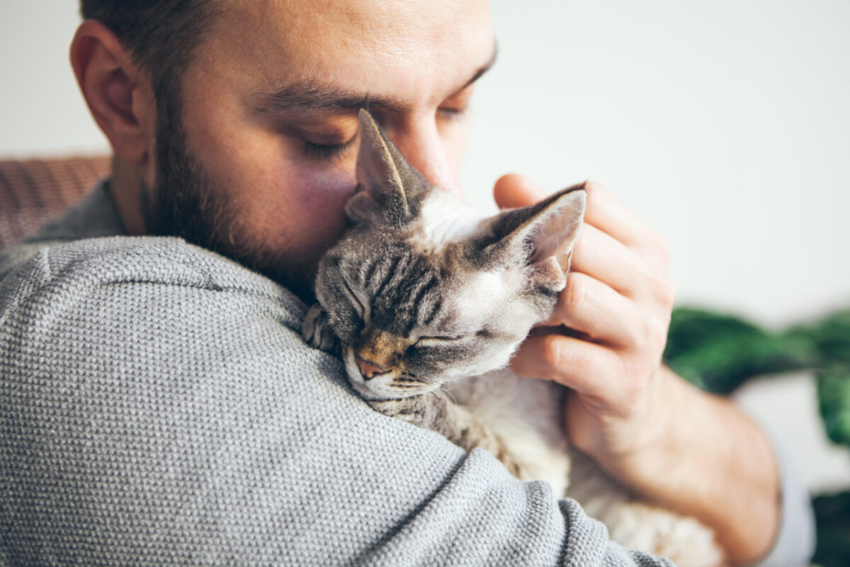 Does Pet Therapy Work, and How Can Animals Help You Heal? 1AND1