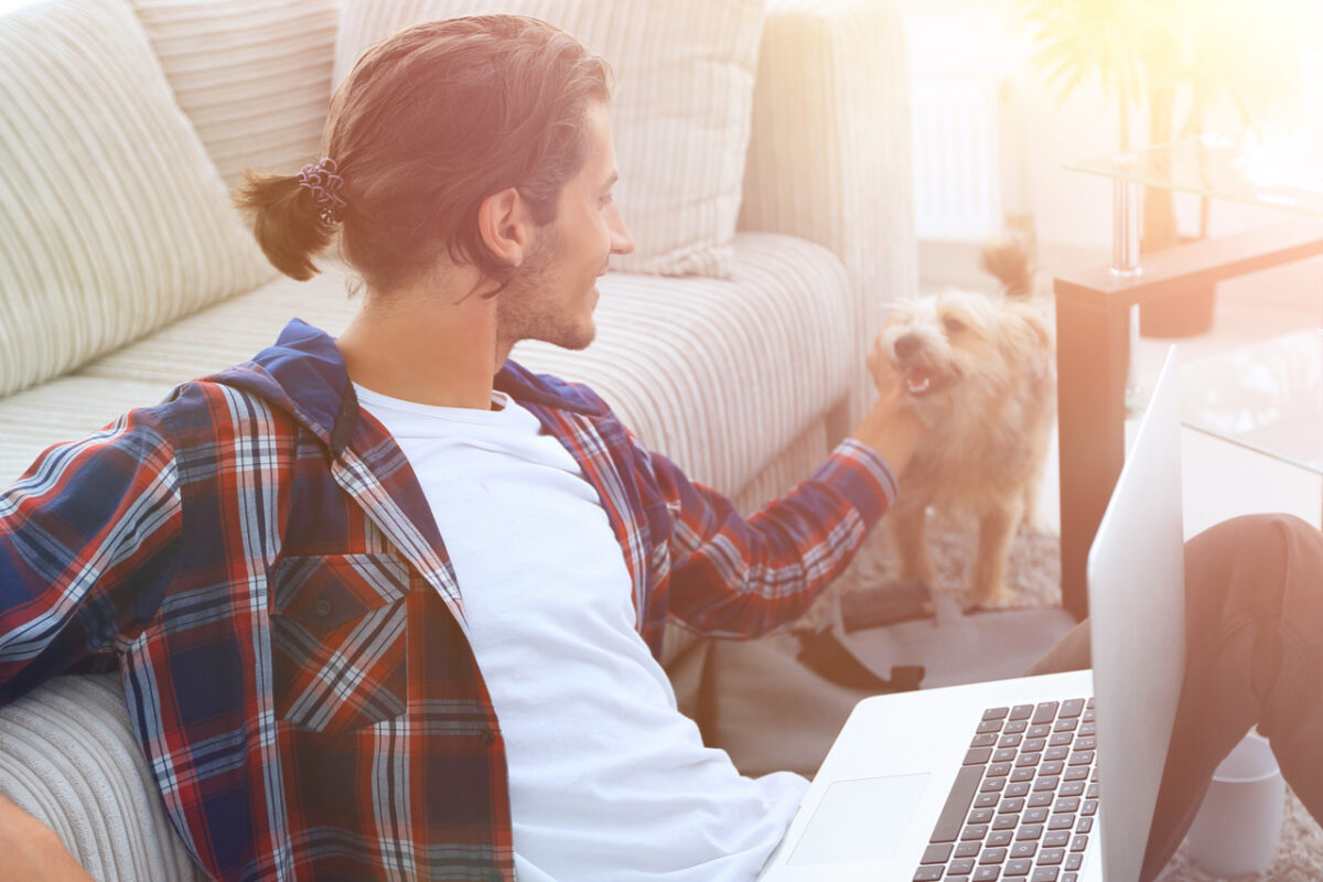 Does Pet Therapy Work, and How Can Animals Help You Heal? 1AND1