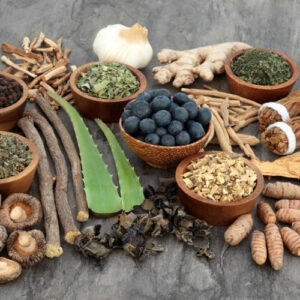 Adaptogen food selection with herbs, spice, fruit and supplement powders.