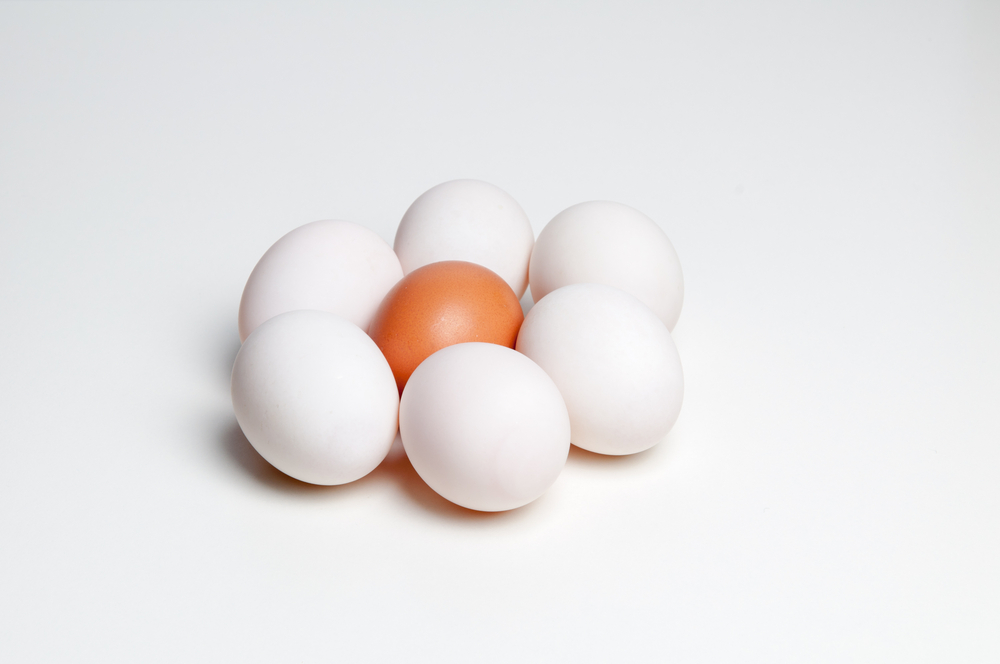 eggs in paper tray isolated on white