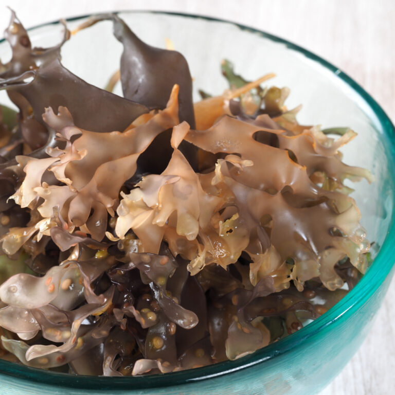 What is Sea Moss Good For? 1AND1
